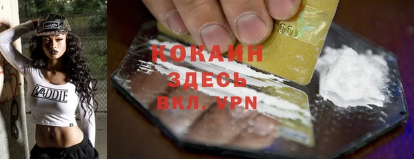 стаф Баксан